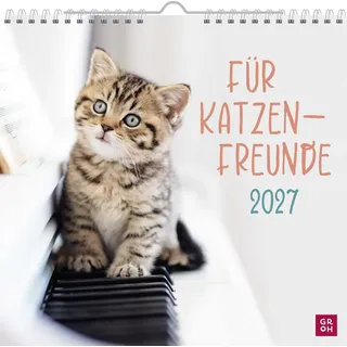 Groh Katzenkalender Wandkalender 2027