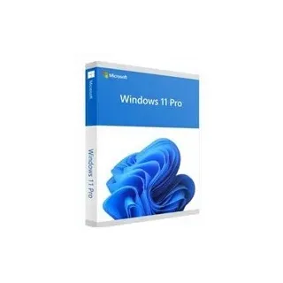 Microsoft Windows 11 Pro DVD DSP/SB EN
