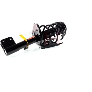 gh Federbein Komplett Federbein