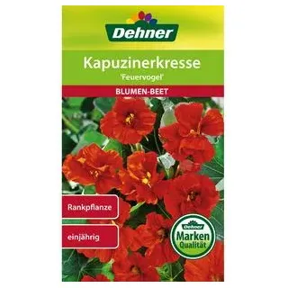 Dehner Samen Kapuzinerkresse 'Feuervogel', Rot