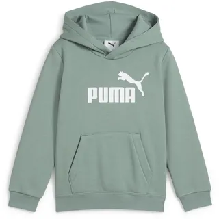 Puma Essentials No. 1 Logo Fleece Hoodie Jungen 30 green moon 116