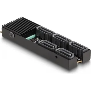DeLock Konverter M.2 2280 Key B+M Stecker zu 5 x SATA mit Kühlkörper