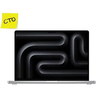 2024 M4 Pro 24 GB RAM 1 TB SSD 20-Core GPU Silber