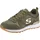 olive 36