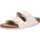 eggshell 40