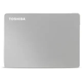 1 TB USB 3.2 silber HDTX110ESCAA