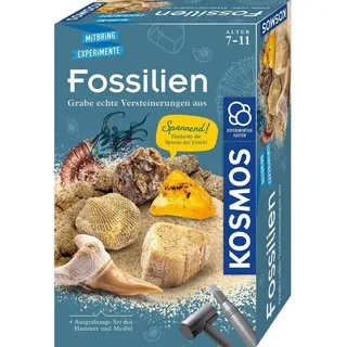 Kosmos Fossilien
