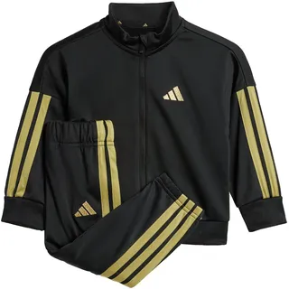adidas Essentials Climacool Trainingsanzug Black / Gold Met. 80