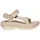 Damen Oyster 39