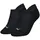 2P Schwarz 35-38