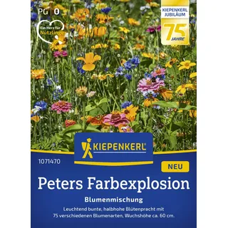 Kiepenkerl Blumenmischung Peters Farbexplosion 1071470 – 75 Sommerblumenarten für bunte Blütenvielfalt – Einjährige Mischung, insektenfreundlich & pflegeleicht, ca. 60 cm Wuchshöhe