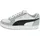 Cool Light Gray-Puma Black-Puma White 42