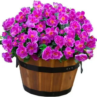 6 Stück 15,3 Zoll/38 cm Künstliche Outdoor-Pflanzen für Frühling Sommer Dekoration, Falsche Seide Kamelie Realistisch für Blumentopf Außen Vordertür Veranda Terrasse Balkon (Fuchsia)