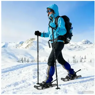 vidaXL 3 in 1 Schneeschuhe Silber/Schwarz L