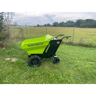 Mini Dumper DP300 bis 300kg Elektro Motorschubkarre Muldenkipper Minidumper - Grün