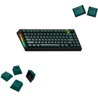 Glorious Gaming – GPBT Basics (Totem Green PBT-Tastenkappen), 8 Farben, farbechter Sublimationsdruck, für mechanische Keyboards der Größen 100%, 75%, 65%, 60% sowie – Amerikanische QWERTY-Belegung