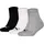 Socken 3 Paare Schwarz/Weiß/Grau 31-34