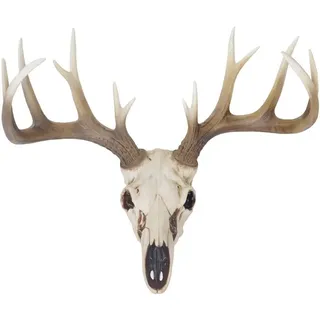 Hegele - Deko Skull 58cm, Polyresin Hirschgeweih Kopf Trophäe, In-/Outdoor