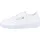 White / Light Grey 37