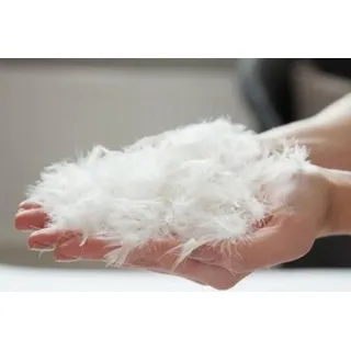 M&M Feather and Down 155x220 cm 1100 Gr. 90% Daunen BETT Hotel QUALITÄT Daunendecke Daunendecken Decken Decke Bett Bettdecke Zudecke Steppdecke Daunen Welt-der-Träume | Weiß