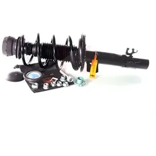 gh Federbein Komplett Federbein