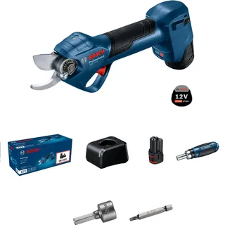Bosch Professional GGP 12V-25 2 x Akku GBA 12V 3.0Ah