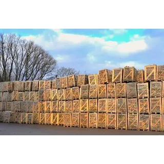 150kg Trockenes Kaminholz Brennholz Feuerholz Mischholz Laubholz Mix ca 33cm