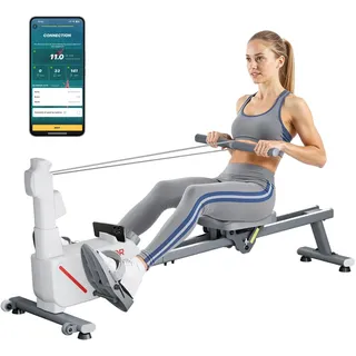 Vevor leises magnetisches Rudergerät Schwarz