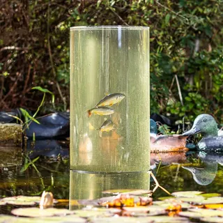 Hi Fischsäule 65 cm Transparent