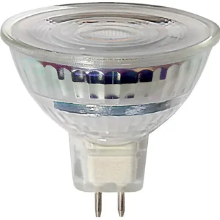Star Trading 346-08-2 Spotlight LED, GU 5.3, F  2700 K, 80 Ra, 260 LM, 520 Cd,  36° Winkel, ca. 5x4,4 cm, 12 V / 2,1 W,  (entspr. 20 W), 1 Stück ...