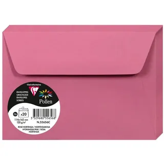 Pollen Clairefontaine 55636C - Karton mit 200 Umschläge Pollen, selbstklebend 11,4x16,2 cm 120g lose, Hellgrau