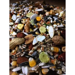 cura-canin 10 kg Premium Eichhörnchen Super - Food Eichhörnchenfutter der Spitzenklasse Streufutter Futter Futterhaus