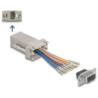 DeLock D-Sub 9 Pin Buchse zu RJ50 Buchse 0,02 m Grau