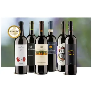 Best of Delinat: 6 x Goldweine Goldene Zeiten: vom gereiften Klassiker bis zum PIWI, Bio Probierpakete