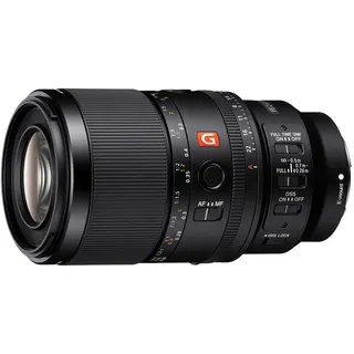 Sony SEL 100mm f/2,8 Makro GM OSS + SEL-20TC 2.0x Telekonverter