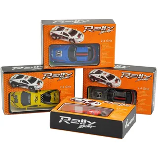 AMEWI Auto Rally Sport RTR (21079)