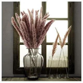 Trockenblume Pampasgras Fluffy Natur 70g, ca. 10-16 Stiele 75-80cm, NaDeco