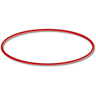 Wiltec SunSun Ersatzteil für Druckteichfilter CPF-280/380/500 O-Ring 3, Teichdruckfilter Uvc-lampe, 9000 l/h Teichfilteranlage, effiziente Wasserfilterung