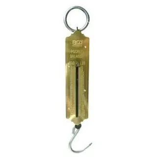 BGS Do it yourself Taschenfederwaage bis 50 kg