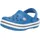 Bright Cobalt/Charcoal 19,5