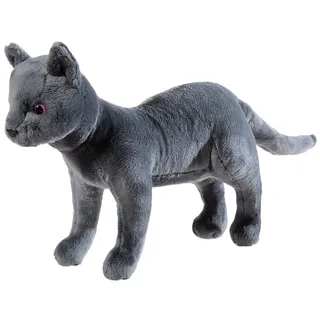 HEUNEC 621169 - Katze Karajan, Schule der magischen Tiere Plüschtier, 30 cm