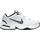 White/Metallic Silver 45