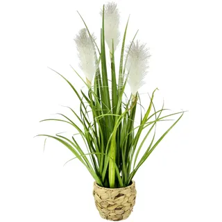 Künstliches Pampas Gras im Topf Feder Ufergras Seidenblume Grasbusch Dekogras Gras Gräser Kunstpflanze Pflanze Solitärgras Ziergras Dekopflanze Pampasgras Blume Kunstgras Grünpflanze Zimmerpflanze