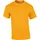 gold XL