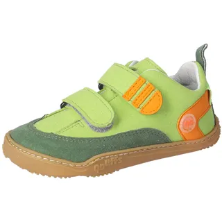 qnuffs Ahorn Kinder Grün/Orange 32