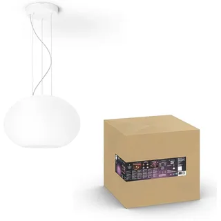 Philips Hue White and Colour Ambiance Flourish