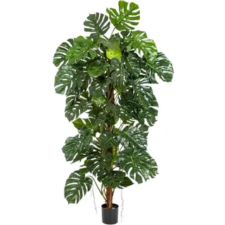 aplanta Kunstbaum, Grün, Kunststoff, 160 cm, Dekoration, Blumen & Zubehör, Kunstpflanzen