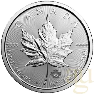 1 Unze Silbermünze Maple Leaf
