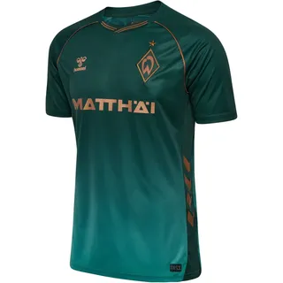 hummel Werder Men 3rd 25/26 Erwachsene blau 5XL