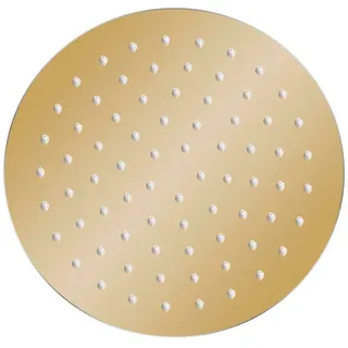 vidaXL Regenbrause Edelstahl 20 cm Rund Golden